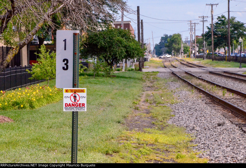 Royal Oak Tracks